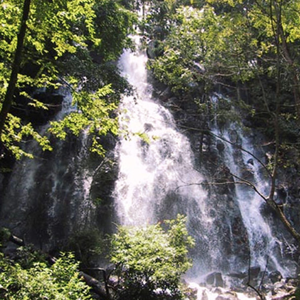 Explorar la Cascada Velo de Novia – ESTADO DE MÉXICO, MARAVILLAS NATURALES